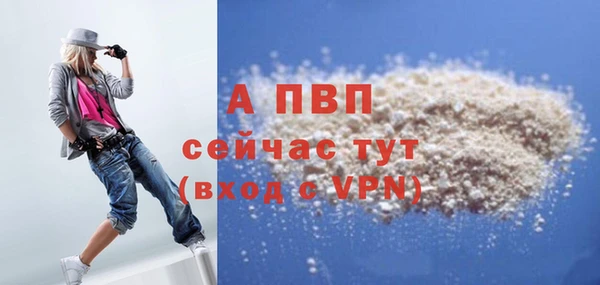 дживик Богородицк
