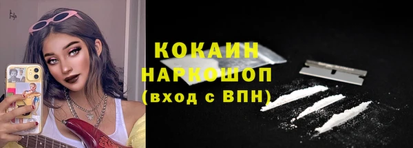 дживик Богородицк