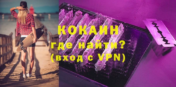 дживик Богородицк