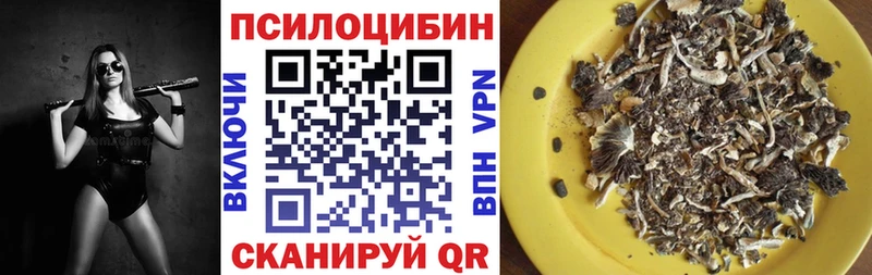 Псилоцибиновые грибы ЛСД  купить  цена  Верхний Уфалей 