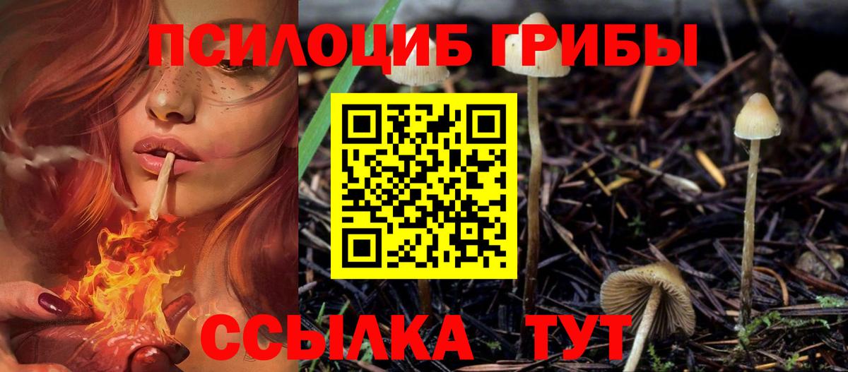 Галлюциногенные грибы Magic Shrooms  Вход с VPN  Верхний Уфалей  Псилоцибиновые грибы GOLDEN TEACHER 